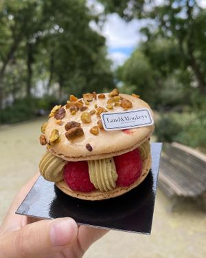   at Land & Monkeys - Beaumarchais in Paris