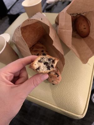   at Land & Monkeys - Beaumarchais in Paris