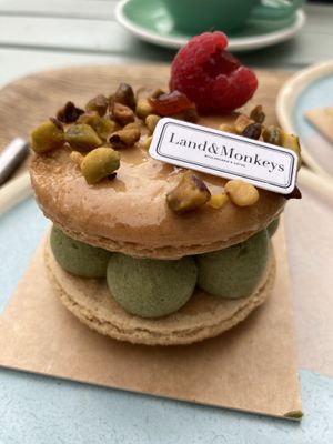   at Land & Monkeys - Beaumarchais in Paris