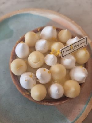  at Land & Monkeys - Beaumarchais in Paris