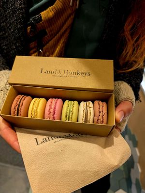  at Land & Monkeys - Beaumarchais in Paris