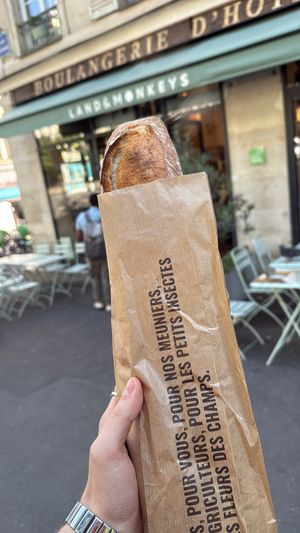   at Land & Monkeys - Beaumarchais in Paris