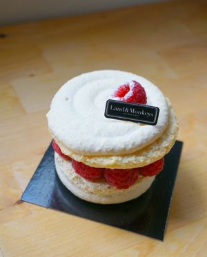 Macaron w/raspberries at Land & Monkeys - Beaumarchais in Paris
