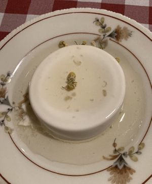 Panna cotta with camomile   at Al Sanpietrino Trattoria in Lisbon