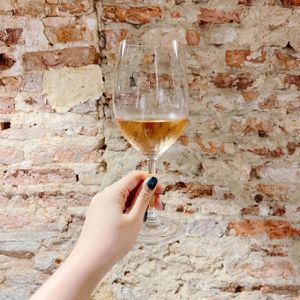 Torresella rose 2019  at Genius Central in Central Singapore