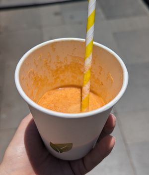  at VANtastic in Funchal