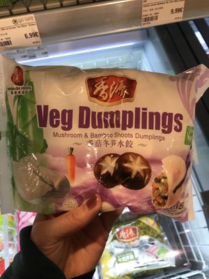  Vegan Dumplings at Go Asia Supermarkt in Dusseldorf