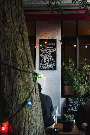 under the chestnut at Terra in Berlin