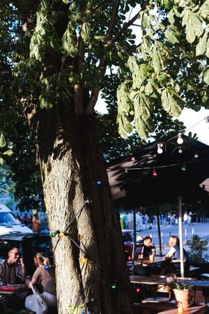 the garden at Terra in Berlin