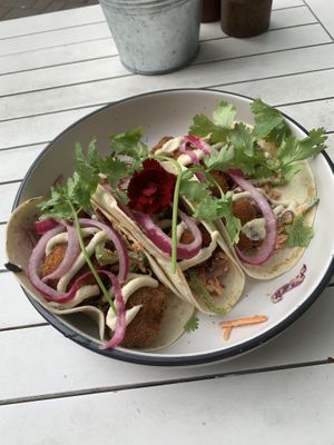 “Fish” tacos w/ Korean fried tofu and cashew “mayo" at The Bean Brewers in Chippendale