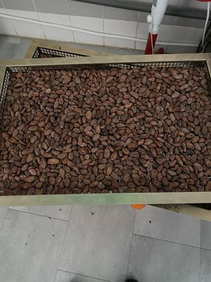  at Feitoria do Cacao in Aveiro