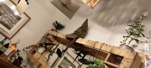 Harry Potter déco at Urban Greener in Paris