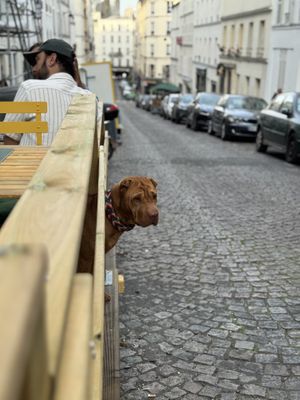   at Urban Greener in Paris