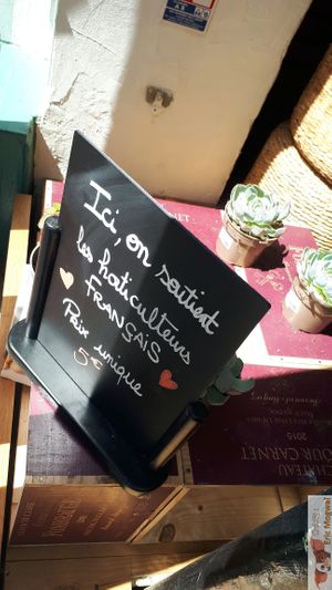 Plants at Urban Greener in Paris