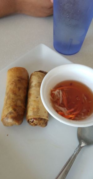 Delicious eggrolls at Loving Hut in Orange