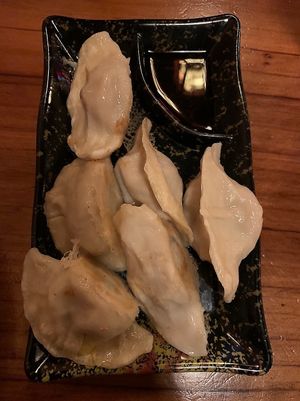 Vegan dumplings  at Dumpling the Noodle in Seattle