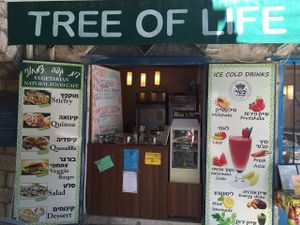 Tree of Life at Tree of Life in Safed