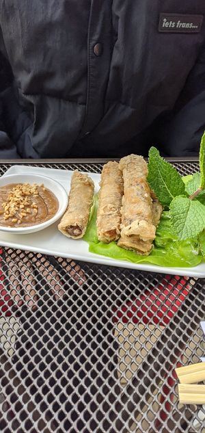 Fried spring rolls & peanut sauce at Pho in Sheffield