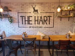 Inside at The Hart of Hartford in Hartford