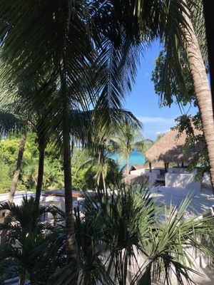The view!  at Noru in Bacalar