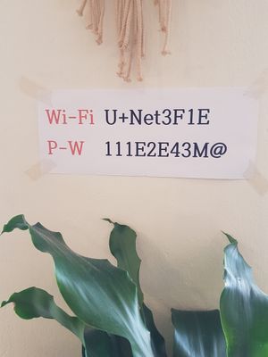Wifi password 😁 at Asalam Restaurant in Jeju