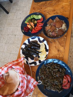 Vegan assortment (stuffed vine leaves, beans in oil, and the syrian lentil dish Hurra Usbao)  at Dar Ne'meh in Amman