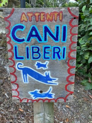  at La Becerca in Serra San Quirico