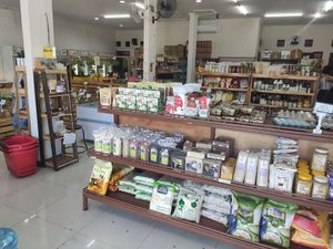  at Satvika Bhoga in Denpasar