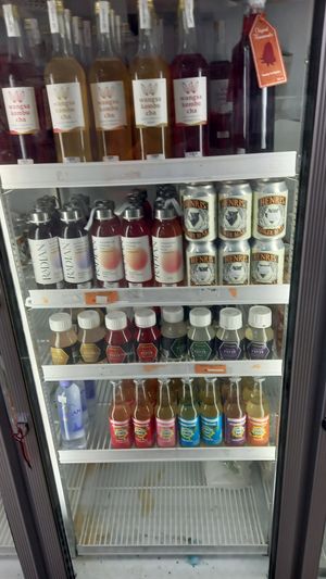 Locally made ginger beer, kombucha at Satvika Bhoga in Denpasar