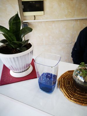 Abi noosh drink at Vegan Burger in Esfahan