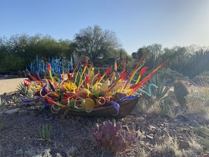 Gorgeous walk into the entrance   at Gertrude's in Phoenix