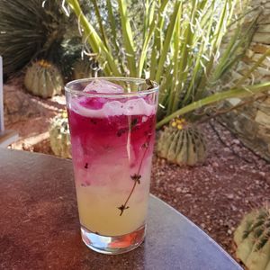 Seasonal drink at Gertrude's in Phoenix