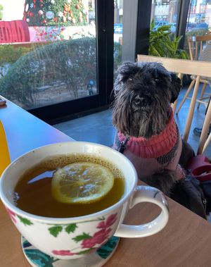 Menta💗 at Alma Verde in Mexicali