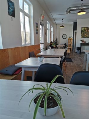 Interior at Ritual Coffee Bar in Prince George