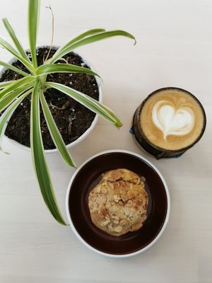 Vegan oatmeal apple muffin and oat milk latte at Ritual Coffee Bar in Prince George