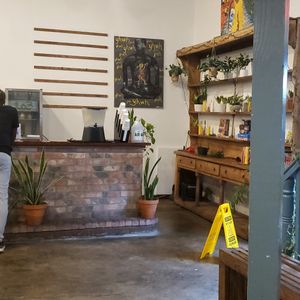 Love all the live plants at I-tal Garden in New Orleans