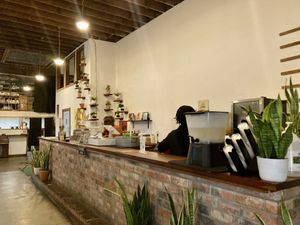 Front counter  at I-tal Garden in New Orleans