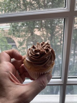  Vegan cupcake  at House of Cupcakes in Princeton
