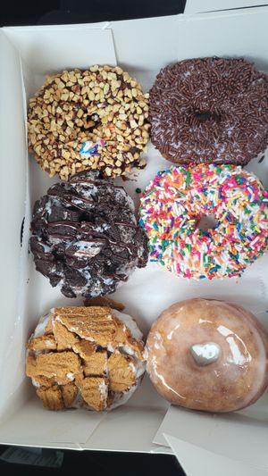 100% vegan doughnuts at Doughology in Babylon