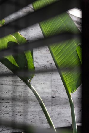 Mudrá at Mudra in Buenos Aires