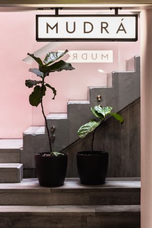 Mudrá at Mudra in Buenos Aires