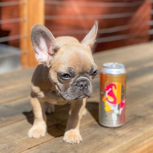 / at Willkommen in San Francisco