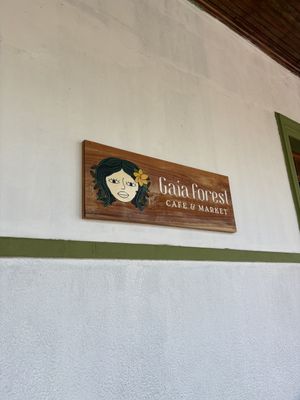   at Gaia Forest Cafe & Market in Granada