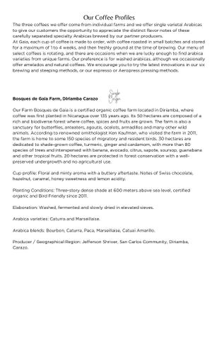  at Gaia Forest Cafe & Market in Granada