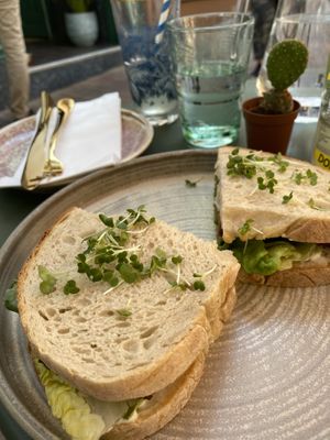 TLT at Erpingham House in Brighton