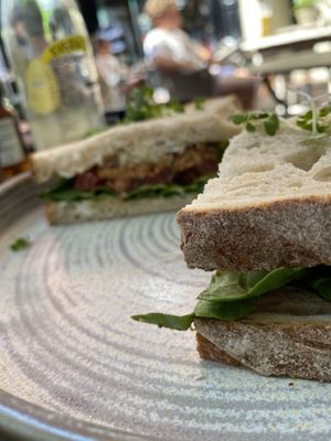 TLT at Erpingham House in Brighton