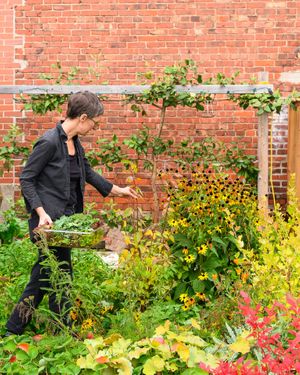 We grow our own food on-site in our courtyard garden. at Black Duck Cafe in Sackville