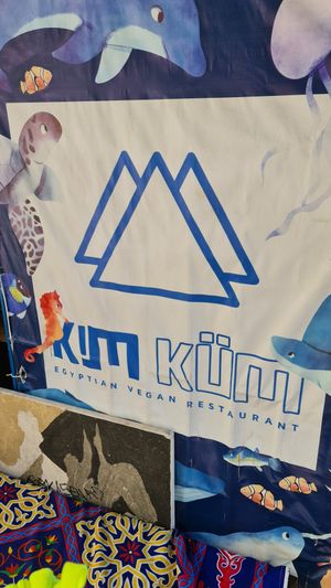  at Plantbased Egyptian Eatery in Istanbul