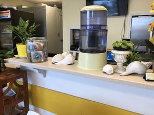 Food was good environment might need an upgrade   at Loving Hut - Cape Coral in Cape Coral