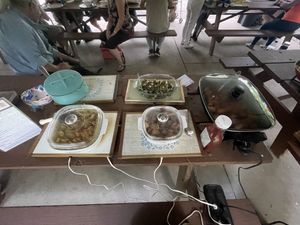   at Vegetarians of the Greater Youngstown Area in Youngstown